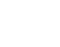 La cooperativa Multiactiva de servicios COOLCARIBE será un modelo de empresa del sector solidario, reconocida por su responsabilidad y calidad de sus servicios.
